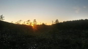 Auringonlasku Kuhankuonossa