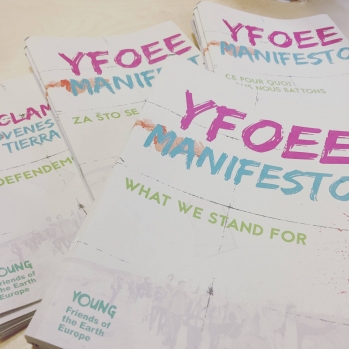 YFoEE tasa-arvo ja monikulttuurisuus manifesto upouutena painosta
