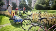 Pihakirppispäivä