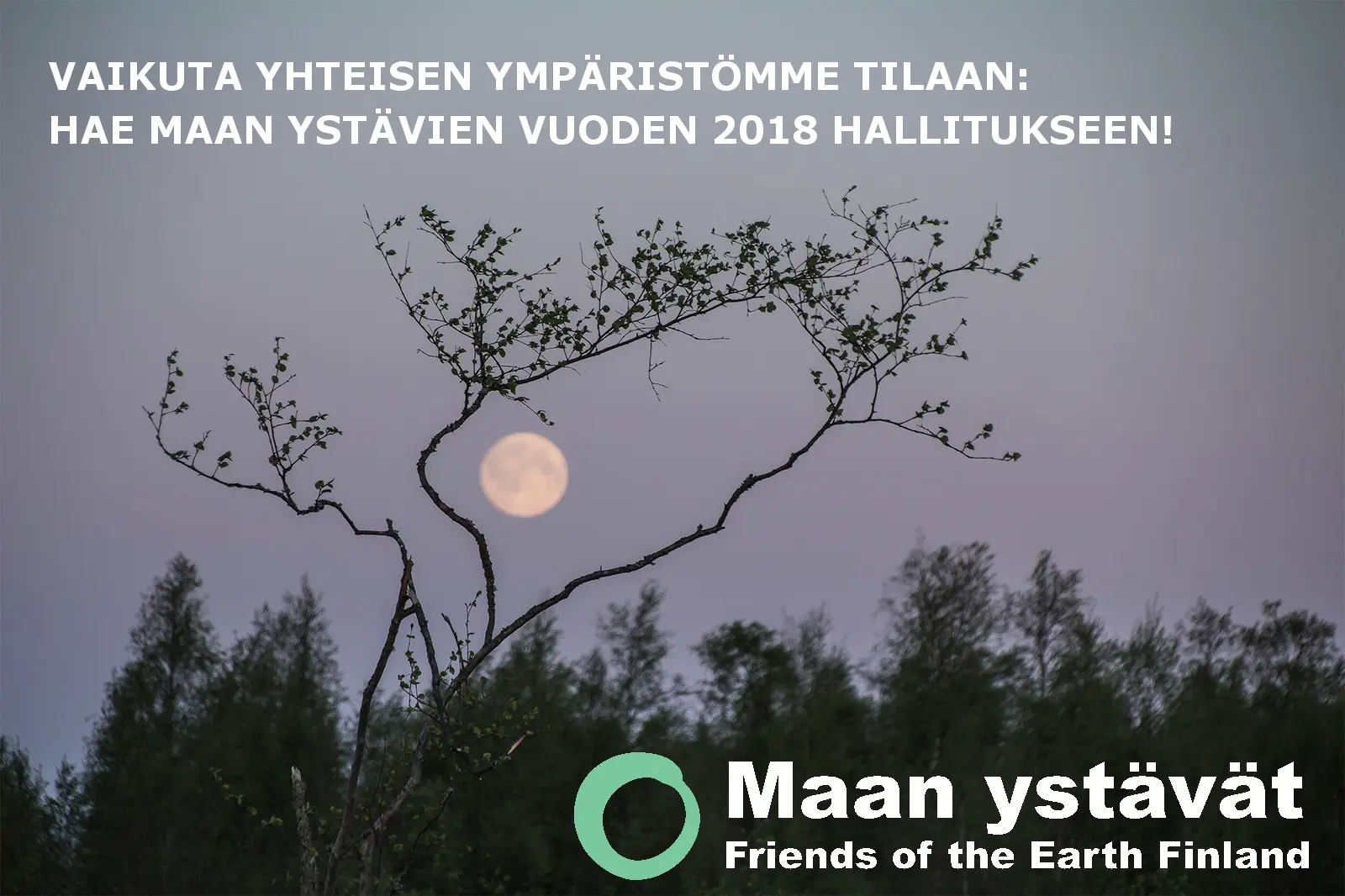 Hallituksessa pääset vaikuttamaan ja saat arvokasta kokemusta