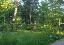 Retkeilijän on syytä muistaa että kevään myötä punkit aktivoituvat.