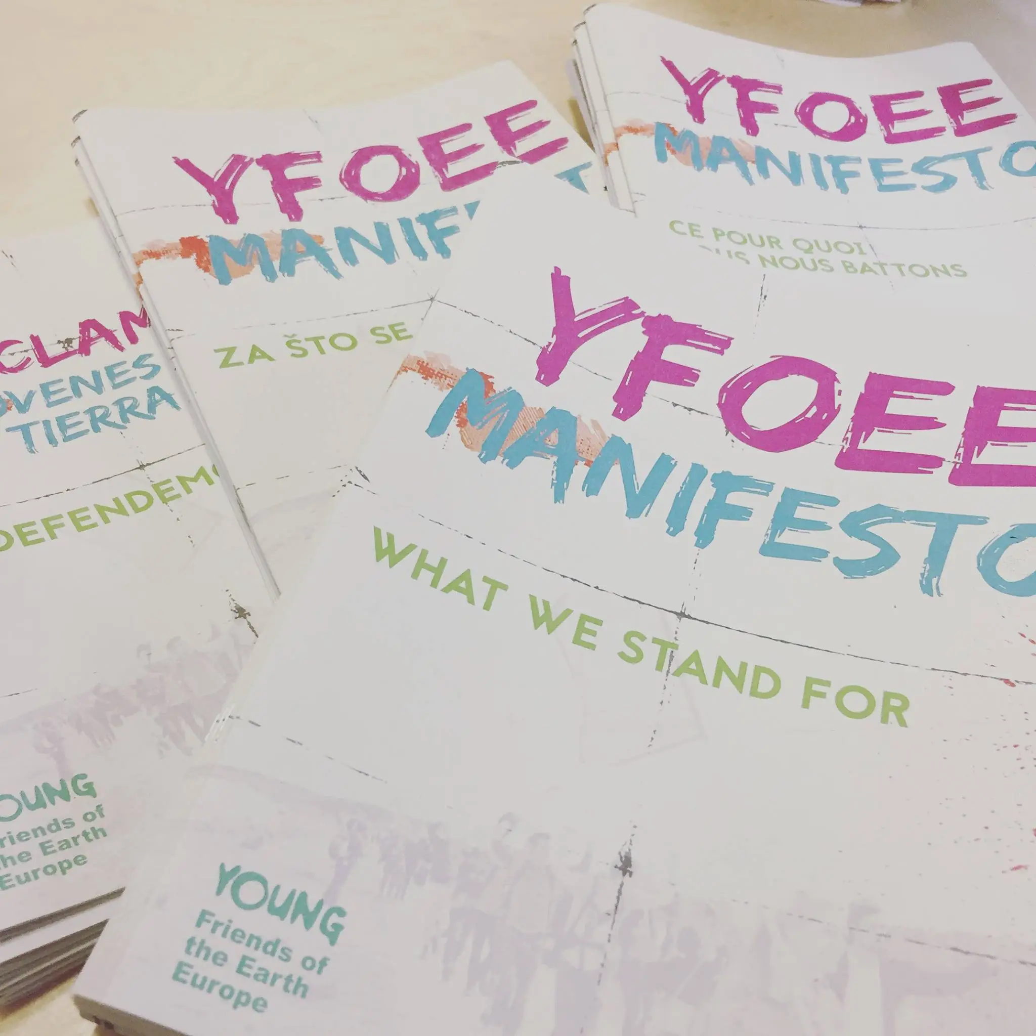 YFoEE tasa-arvo ja monikulttuurisuus manifesto upouutena painosta